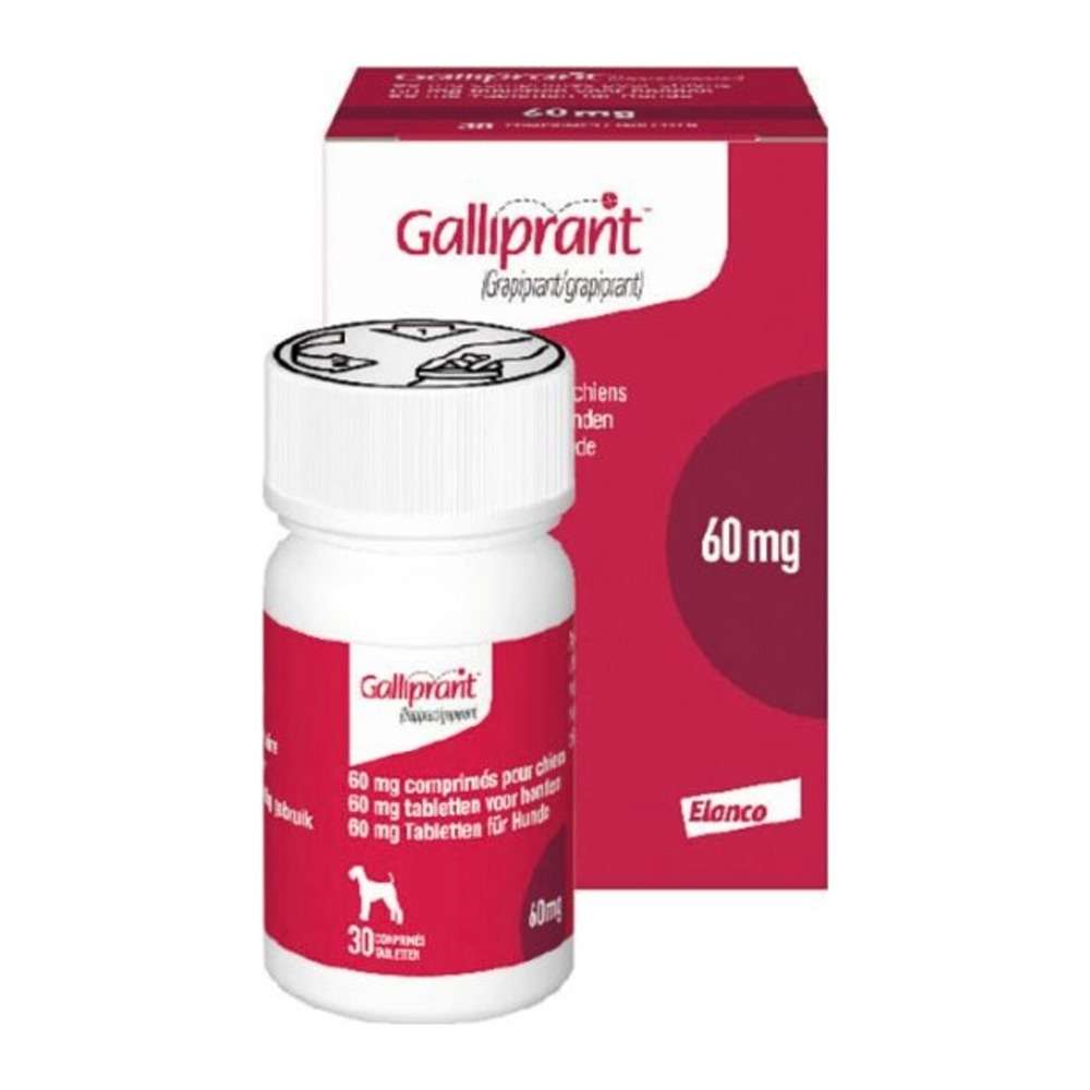 Galliprant 60 mg 30 tab. Elanco