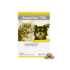 HepatoSan 700 21 g Alfavet