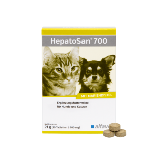 HepatoSan 700 21 g Alfavet