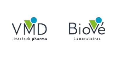 VMD