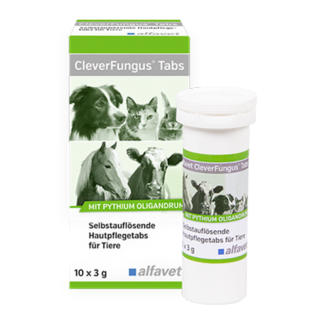 CleverFungus Tabs 3 g Alfavet