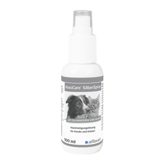 HexoCare SilberSpray 100 ml Alfavet