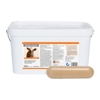Kapsel VitaPlus 78 g Alfavet