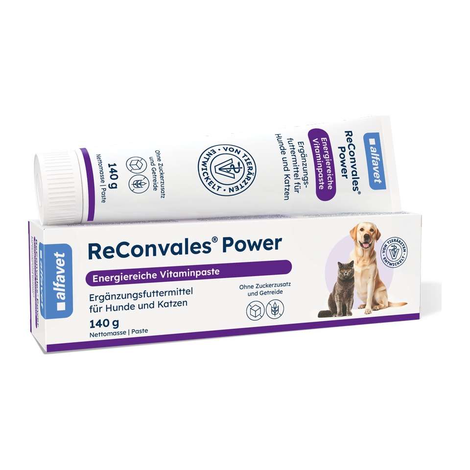 ReConvales Power 140 g Alfavet